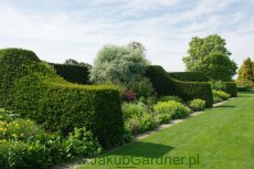 Garden Hyde Hall - Jakub Gardner